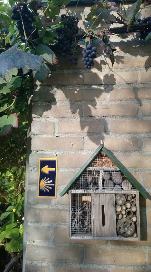 B&B Aan Het Park Αϊντχόφεν Εξωτερικό φωτογραφία